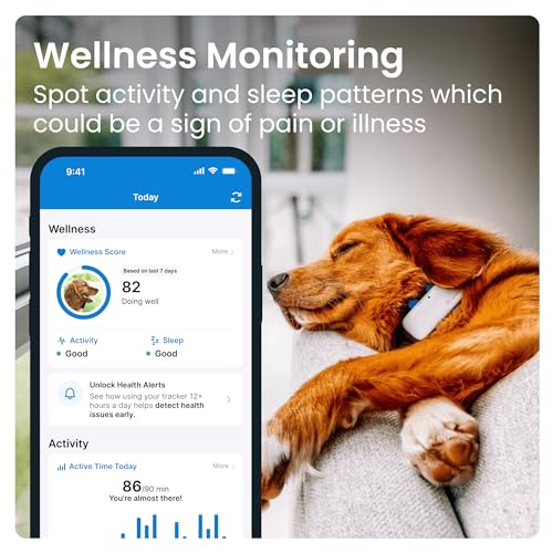Tractive LTE GPS Dog Tracker - Location & Activity Tracker for Dogs with Unlimited Range (Newest Model), White (TRNJAWH) from Tractive GmbH