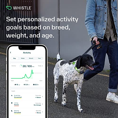 Whistle GO Explore - Ultimate Health & Location Tracker for Pets - Waterproof GPS Pet Tracker, Built-in Night Light, 20 Day Battery, Pet Fitness Tracker fits on Collar or Harness - Grey from Whistle Labs