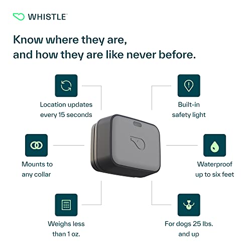Whistle GO Explore - Ultimate Health & Location Tracker for Pets - Waterproof GPS Pet Tracker, Built-in Night Light, 20 Day Battery, Pet Fitness Tracker fits on Collar or Harness - Grey from Whistle Labs