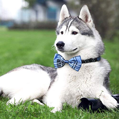 Dog Bow Ties, 40 PCS Segarty Pet Neck Bows, Bulk Pet Bowties with Adjustable Collar, Grooming Bowknot for Christmas Birthday Holiday Valentine Party Dog Photography Accessories Gift for Puppy Dogs Cat by Segarty
