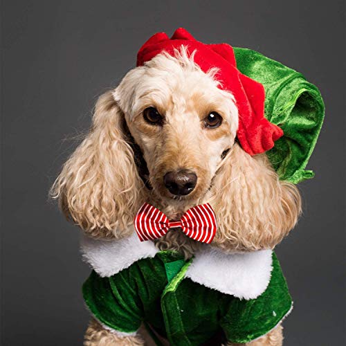 Dog Bow Ties, 40 PCS Segarty Pet Neck Bows, Bulk Pet Bowties with Adjustable Collar, Grooming Bowknot for Christmas Birthday Holiday Valentine Party Dog Photography Accessories Gift for Puppy Dogs Cat by Segarty