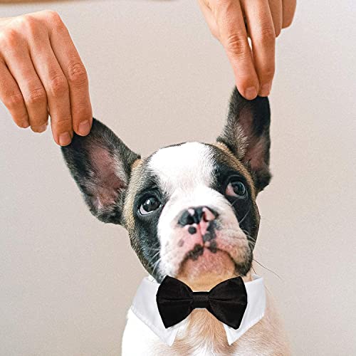 Bowtie for Dog, KOOLMOX Dog Bow Tie Collar Black, Adjustable White Dog Tuxedo Collar with Black Dog Neck Bow Tie for Medium Large Boy Dog Wedding Formal Tuxedo Suit Tux Outfits Birthday Costumes from Koolmox