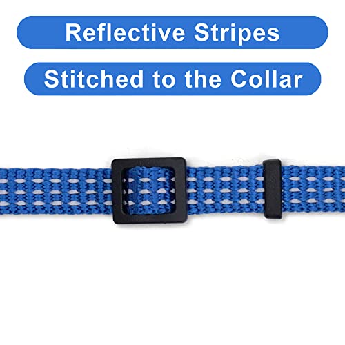 Pawtitas Reflective Cat Collar with Safety Buckle and Removable Bell Cat Collar Kitten Collar Blue Cat Collar from Pawtitas