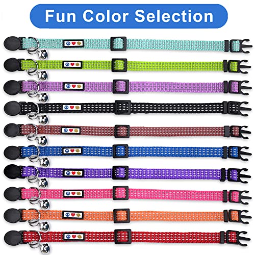 Pawtitas Reflective Cat Collar with Safety Buckle and Removable Bell Cat Collar Kitten Collar Blue Cat Collar from Pawtitas