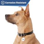 Personalized Stainless Steel Pet ID Tags