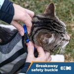 Personalized Cat Collar with Bell and Breakaway Buckle