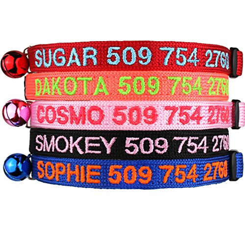 Cat Collars