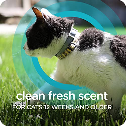 Sergeant's Guardian Flea & Tick Cat Collar, 1 Count by PetIQ