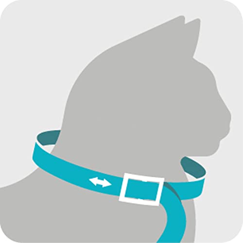 Sergeant's Guardian Flea & Tick Cat Collar, 1 Count by PetIQ