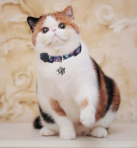 NISYYE Breakaway Cat Collar with Bell, 4 Pack Safety Adjustable Cat Collars Set from Yizepet