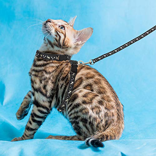 Cat Harness with Leash, 3-Pack, Unique Stars and Moon Design, Escape Proof, Walking, Small Medium Large, Black, Red, Blue, Adjustable, Safe from Bemix Pets