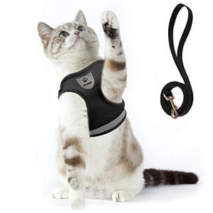 Soft Mesh Cat Harness and Leash Set