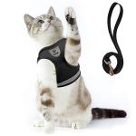 Soft Mesh Cat Harness and Leash Set