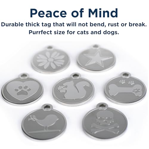 GoTags Stainless Steel Cat ID Tags, Available in Mouse and Cat Shapes, Includes up to 4 Lines of Custom Engraved Personalized Text, (Cat Shape) from GoTags