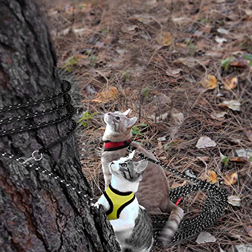 Rypet Reflective Cat Long Leash - 15 FT Escape Proof Walking Leads Yard Long Leash Durable Safe Personalized Extender Leash Traning Play Outdoor for Kitten, Puppy, Rabbit and Small Animals by RYPET