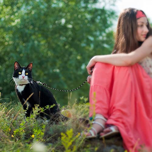 Rypet Reflective Cat Long Leash - 15 FT Escape Proof Walking Leads Yard Long Leash Durable Safe Personalized Extender Leash Traning Play Outdoor for Kitten, Puppy, Rabbit and Small Animals by RYPET