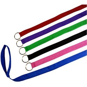 Downtown Pet Supply 6 Foot Slip Lead, Slip Leads, Kennel Leads Bulk Dog Leashes with O Ring for Dog Pet Animal Control Grooming, Shelter, Rescues, Vet, Veterinarian, (24 Pack, Colors: Various) from Downtown Pet Supply