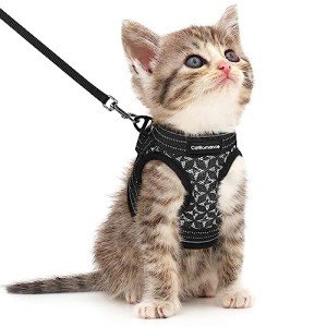 CatRomance Kitten Harness and Leash Escape Proof, Adjustable Cat Harness for Extra Small Cat, Breathable Soft Kitten Harness with Reflective Strips, Black, Small (Chest 9.0-12.0"|Weight 3.3-5.5 lbs) from CatRomance