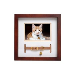 Pearhead Pet Collar Keepsake Picture Frame, Pet Owner Holiday Christmas Gift, Espresso from Pearhead Inc.