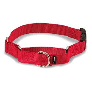 PetSafe Martingale Collar with Quick Snap Buckle, 1" Large, Red from Toys & Behavior