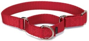 PetSafe Martingale Collar 1" Large, Red from Toys & Behavior