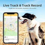PETBIZ G1 GPS Pet Tracker, NB-IOT(5G) Dog Locator & Activity Monitor, 30 Days Ultra Long-Lasting Battery Lightweight Waterproof Dog Finder (Black) â¦ from PETBIZ
