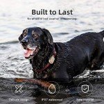 PETBIZ G1 GPS Pet Tracker, NB-IOT(5G) Dog Locator & Activity Monitor, 30 Days Ultra Long-Lasting Battery Lightweight Waterproof Dog Finder (Black) â¦ from PETBIZ