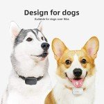 PETBIZ G1 GPS Pet Tracker, NB-IOT(5G) Dog Locator & Activity Monitor, 30 Days Ultra Long-Lasting Battery Lightweight Waterproof Dog Finder (Black) â¦ from PETBIZ