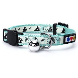 Pawtitas Glow in The Dark Cat Collar with Safety Buckle and Removable Bell Cat Collar Kitten Collar Teal Cat Collar by Pawtitas