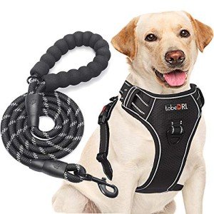 tobeDRI No Pull Dog Harness Adjustable Reflective Oxford Easy Control Medium Large Dog Harness with A Free Heavy Duty 5ft Dog Leash (L (Neck: 18"-25.5", Chest: 24.5"-33"), Black Harness+Leash) by tobedri