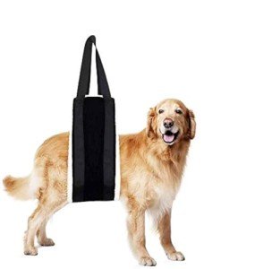 HNYG 30-120 lbs Large Dog Sling for Rear Legs Helps Elderly Dogs with Reduced Mobility, Dog Support K9 Dog Lift Harness, Dog Lifter for Arthritis ACL Rehabilitation Rehab, 7" x 51" by HUANGYUAN