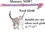 BoomBone Cat Collar Breakaway with Bell and Cute Animal Pendants, 3 Pack Bee Flamingo Beetle Spring Kitten Collar by Upaw