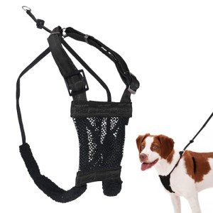 SPORN No Pull Dog Harness, Black, Medium from YUP!