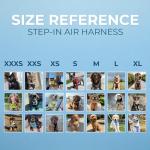Voyager Step-In Air Dog Harness - All Weather Mesh Step in Vest Harness for Small and Medium Dogs by Best Pet Supplies - 1Black Base, S (Chest: 14.5 - 16") from Best Pet Supplies, Inc.