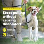 PetSafe Gentle Leader Headcollar, No-Pull Dog Collar, Perfect for Leash & Harness Training, Stops Pets from Pulling and Choking on Walks, Medium, Black from Toys & Behavior