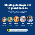 PetSafe Gentle Leader Headcollar, No-Pull Dog Collar, Perfect for Leash & Harness Training, Stops Pets from Pulling and Choking on Walks, Medium, Black from Toys & Behavior