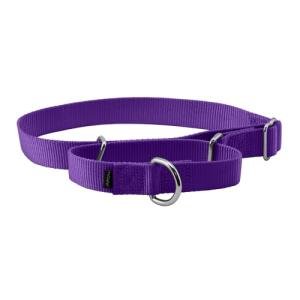 PetSafe Martingale Collar, 1" Large, Deep Purple from Toys & Behavior