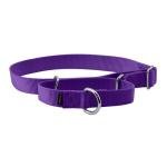 PetSafe Martingale Collar, 1" Large, Deep Purple from Toys & Behavior
