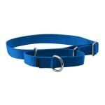PetSafe Martingale Collar, 1" Large, Royal Blue from Toys & Behavior