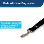 PetSafe Nylon Dog Leash - Strong, Durable, Traditional Style Leash with Easy to Use Bolt Snap - 1" x 6', Black by Toys & Behavior