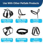 PetSafe Nylon Dog Leash - Strong, Durable, Traditional Style Leash with Easy to Use Bolt Snap - 1" x 6', Black by Toys & Behavior