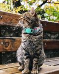 Joytale Breakaway Cat Collar with Bow Tie and Bell, Cute Plaid Patterns, 1 Pack Kitty Safety Collars,Haze Blue by Joytale