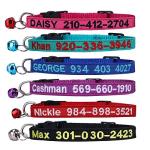Cat Collar,Personalized Embroidered Nylon Cat ID Collars with Bell - Custom Text with Pet Name and Phone Number â¦ from FlowerTown