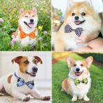 Dog Bow Ties, 40 PCS Segarty Pet Neck Bows, Bulk Pet Bowties with Adjustable Collar, Grooming Bowknot for Christmas Birthday Holiday Valentine Party Dog Photography Accessories Gift for Puppy Dogs Cat by Segarty