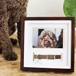 Pearhead Pet Collar Keepsake Picture Frame, Pet Owner Holiday Christmas Gift, Espresso from Pearhead Inc.