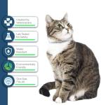 Flea and Tick Collar for Cat, Made with Natural Plant Based Essential Oil, Safe and Effective Repels Fleas and Ticks, Waterproof, 12 Months Protection, 13.8 in (2 Packs) from Taom LLC