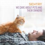 Sentry Calming Collar for Cats 3Ct, Purple from Sergeant's Pet Care