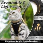 rabbitgoo Cat Harness and Leash Set for Walking Escape Proof, Adjustable Soft Kittens Vest with Reflective Strip for Cats, Comfortable Outdoor Vest, Black, S (Chest:9.0"-12.0") by GLOBEGOU CO.,LTD