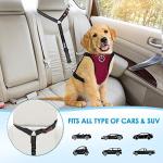 SlowTon Dog Seatbelt, 2 Pack Pet Car Seat Belt Headrest Restraint Adjustable Puppy Safety Seat Belt with Elastic Bungee and Reflective Stripe Connect with Dog Harness in Vehicle for Travel Daily Use by Slowton
