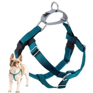 2 Hounds Design Freedom No Pull Dog Harness | Adjustable Gentle Comfortable Control for Easy Dog Walking |for Small Medium and Large Dogs | Made in USA | Leash Included | 1" LG Teal by 2 Hounds Design